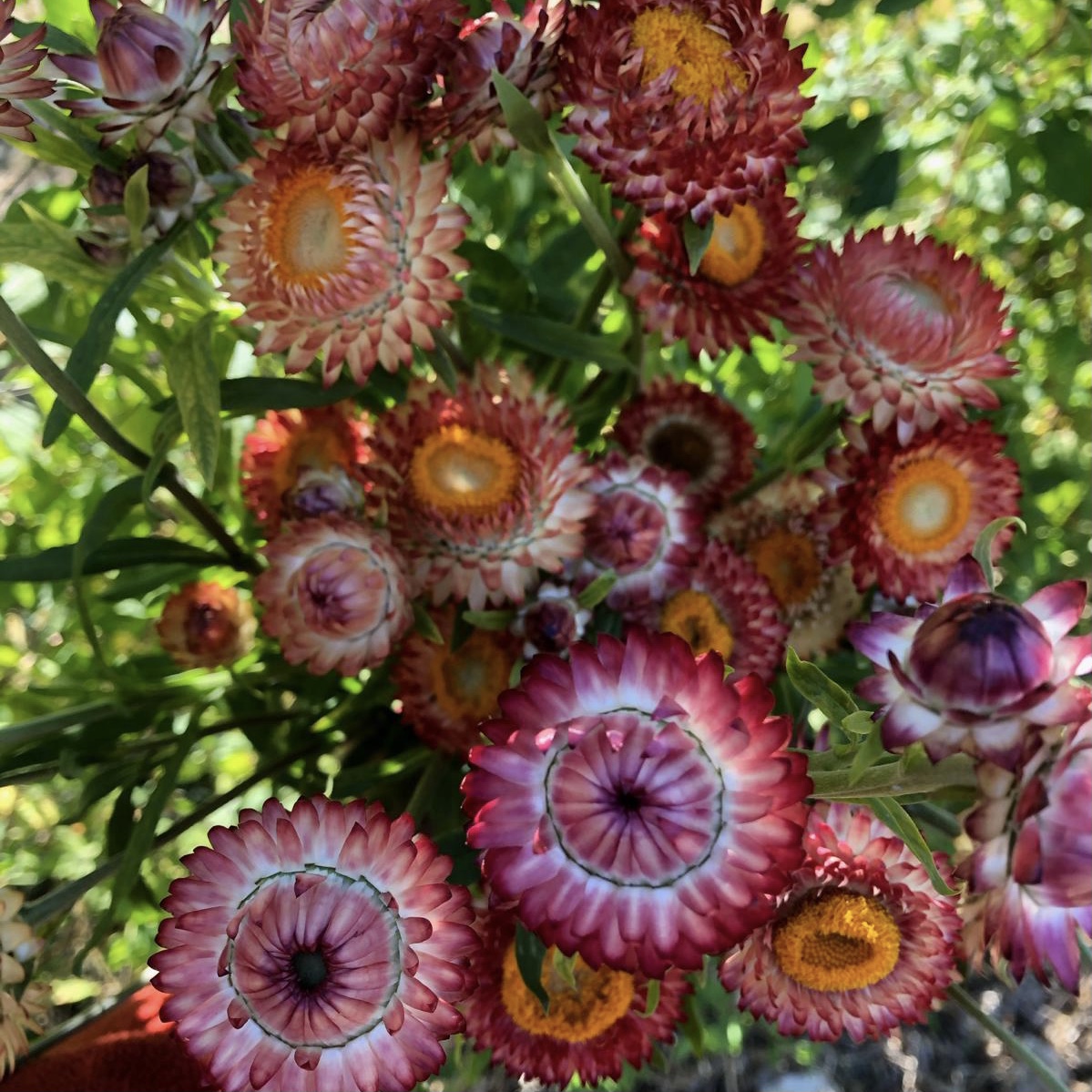 Flor de papel 1