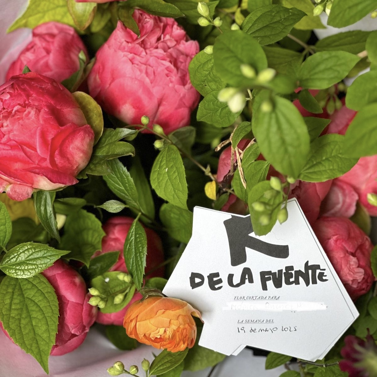 Peonias 5