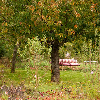 1 otoño