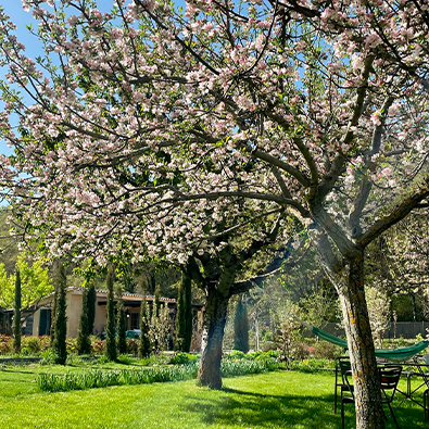 1 primavera